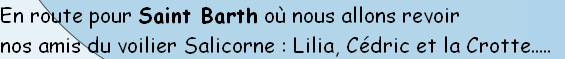 En route pour Saint Barth où nous allons revoir
nos amis du voilier Salicorne : Lilia, Cédric et la Crotte..... 