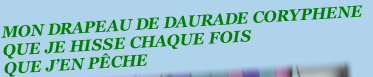 MON DRAPEAU DE DAURADE CORYPHENE
QUE JE HISSE CHAQUE FOIS 
QUE J’EN PÊCHE