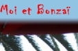 Moi et Bonzaï
               
