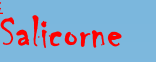 Salicorne 