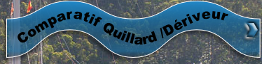 Comparatif Quillard /Dériveur