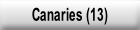 Canaries (13).