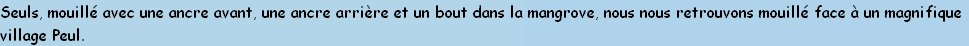 Seuls, mouillé avec une ancre avant, une ancre arrière et un bout dans la mangrove, nous nous retrouvons mouillé face à un magnifique
village Peul.