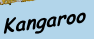 Kangaroo