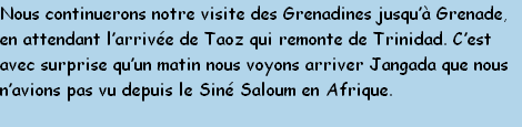 Nous continuerons notre visite des Grenadines jusqu’à Grenade,
en attendant l’arrivée de Taoz qui remonte de Trinidad. C’est 
avec surprise qu’un matin nous voyons arriver Jangada que nous 
n’avions pas vu depuis le Siné Saloum en Afrique.
