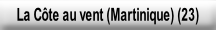 La Côte au vent (Martinique) (23).